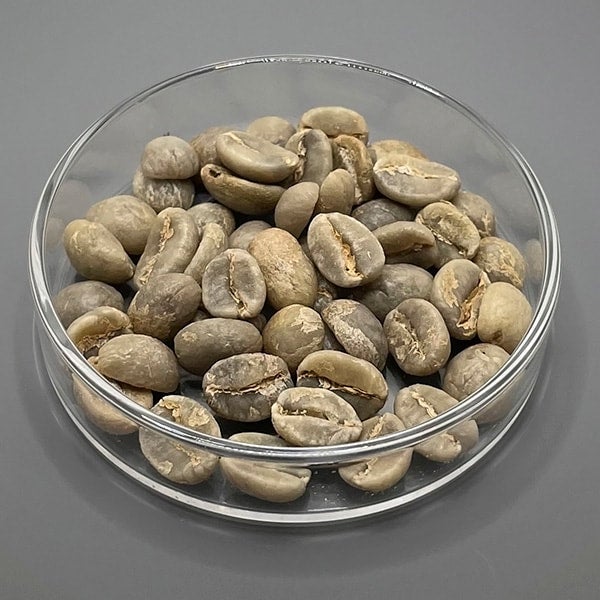 コーヒー豆 1kg